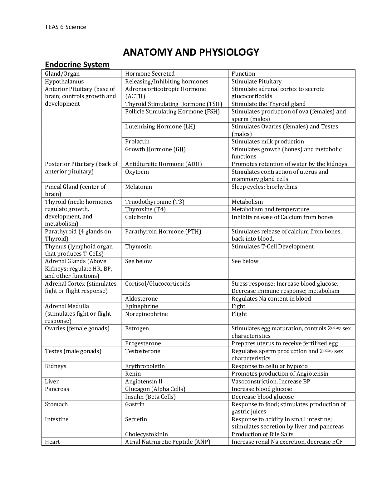 document-preview